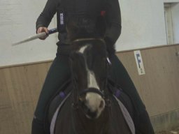 img_3979_web